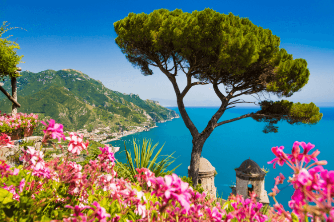 tree overlooking the coastline and blue seas of the Amalfi Coast in Italy