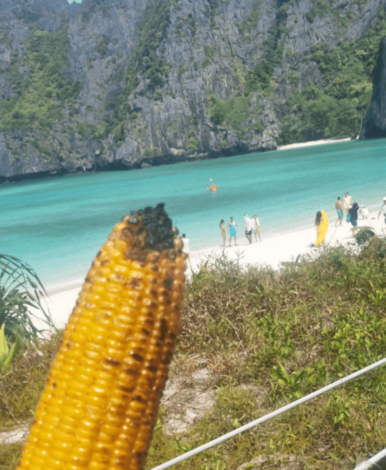 maya bar corn on the cob