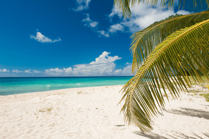 Worst Times To Visit Barbados [When You Should Plan To Visit]