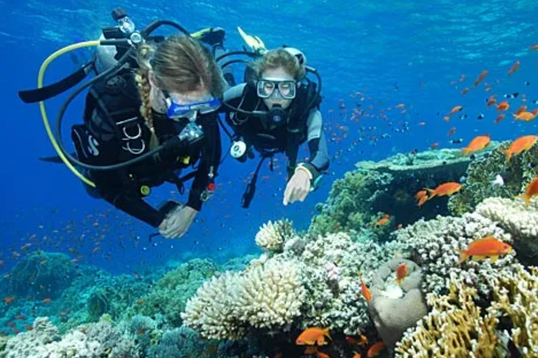 What You'll See on a Kona Scuba Diving Tour