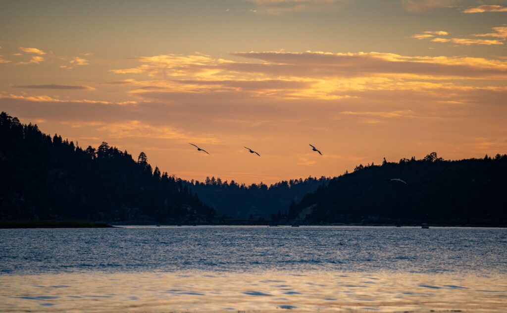 Captivating sunset over Big Bear Lake with birds flying against a colorful sky.