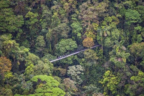 What Makes the Arenal Hanging Bridges Tour Unique