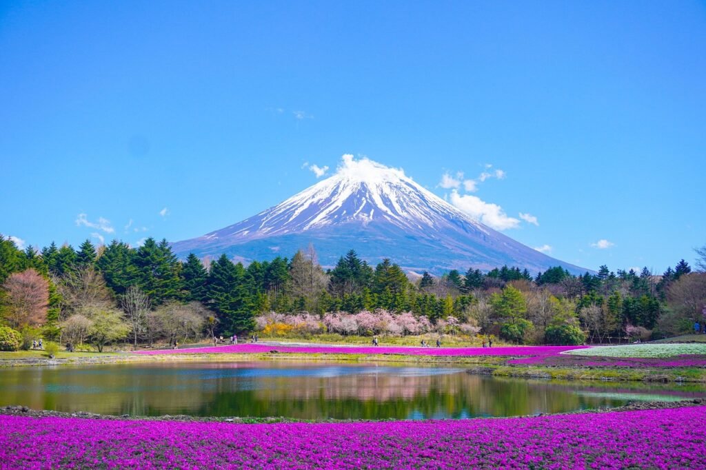 mount fuji, beautiful flowers, flower background, flower wallpaper, lake, mountain, park, flowers, japan, nature, spring